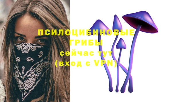 прущая мука Балахна